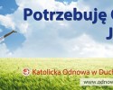 Projekt billboardów, które pojawiły się w Ostrołęce