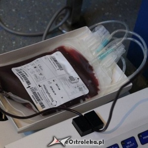 Spory odzew na apel o krew grupy 0RH- dla potrzebującej ostrołęczanki