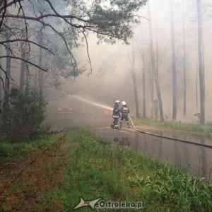 Pożary lasów w gminie Olszewo-Borki