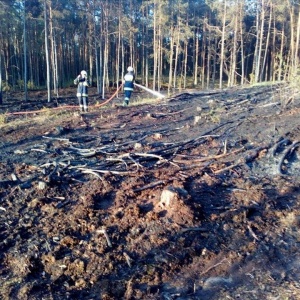 Kolejny pożar lasu pod Ostrołęką. Tym razem spłonął blisko hektar młodniaka