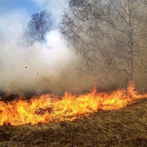 Cztery strażackie interwencje przy wypalaniu traw