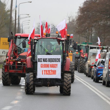 Protest rolników 2024: Rolnicy zjechali się do Ostrołęki! Korki i tłumy protestujących [WIDEO, ZDJĘCIA]