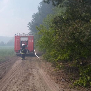 Pożar lasu w pobliżu Olszewa-Borek