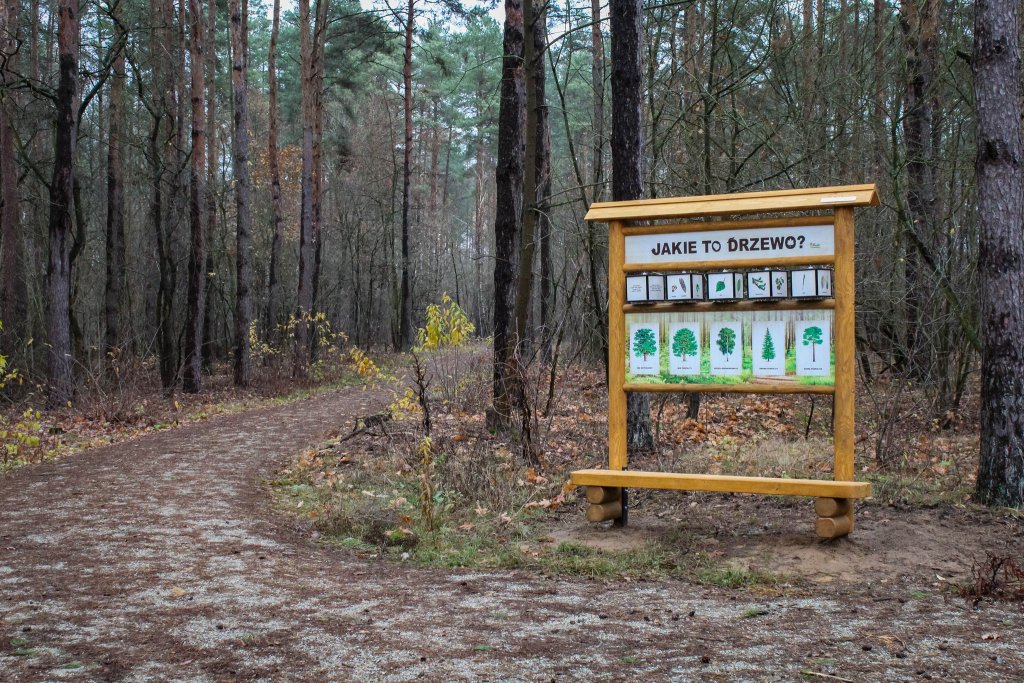 fot. Urząd Miasta w Ostrołęce