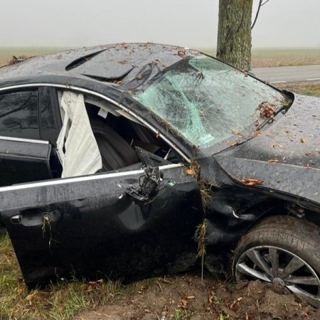 Szokujące sceny na drodze! Samochód wzbił się w powietrze zanim uderzył o drzewo [ZDJĘCIA]