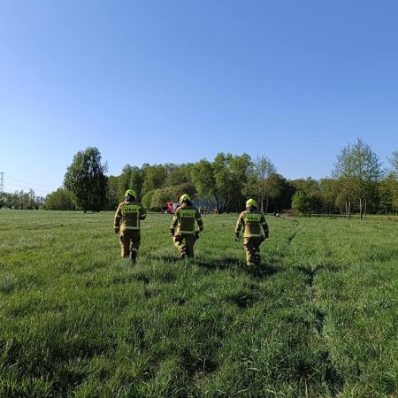 Pierwszomajowa akcja strażaków. Trzy jednostki wyjechały do pożaru