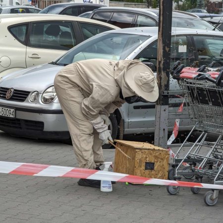 Pszczeli alarm przed Galerią Bursztynową! Strażacy ratowali przed rojem [WIDEO, ZDJĘCIA]