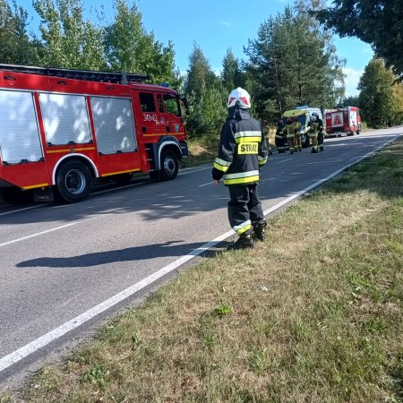 Wypadek w Lipnikach. Zderzenie motocykla... z sarną. Zwierzę nie przeżyło