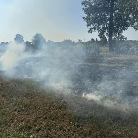 Nowa Wieś Zachodnia i Grądzik: strażacy walczyli z ogniem w lasach