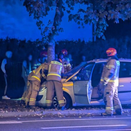 Poślizg na rondzie? Samochód zjechał z drogi i uderzył w drzewo [ZDJĘCIA]