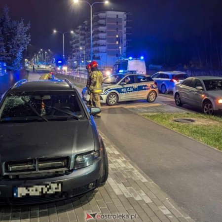 Pijany 19-latek pogryzł policjanta! Skandaliczne zachowanie nastolatka po kolizji [ZDJĘCIA]