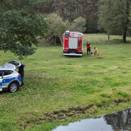 Zamieszanie nad Omulwią w Krukach. W akcji służby ratunkowe [ZDJĘCIA]