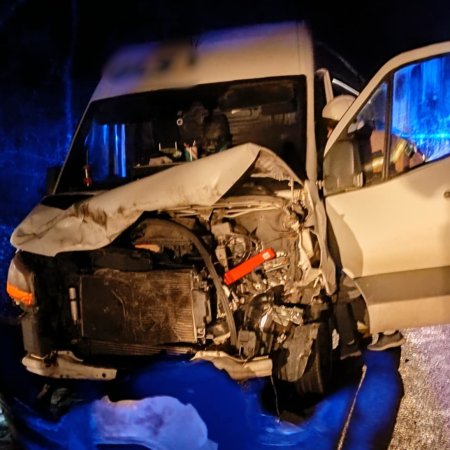 Wypadek na DK 60 w miejscowości Czarnowo: Bus zderzył się z jeleniem [ZDJĘCIA]