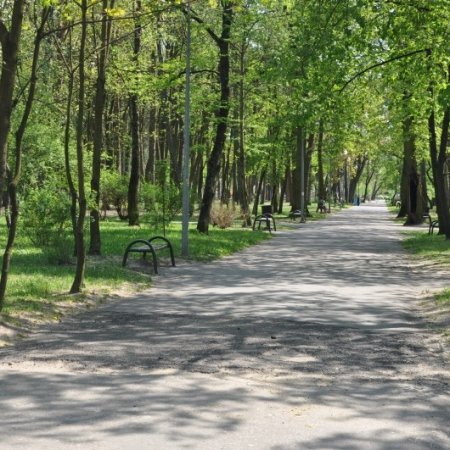 Priorytety osiedla Parkowe. Kluczowa inwestycja dotyczy parku miejskiego