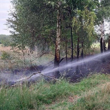 Strażacy walczyli z pożarem traw