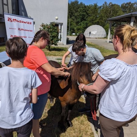 Warsztaty relaksacyjne "Kucykowo" w Multimedialnym Centrum Natura [ZDJĘCIA]