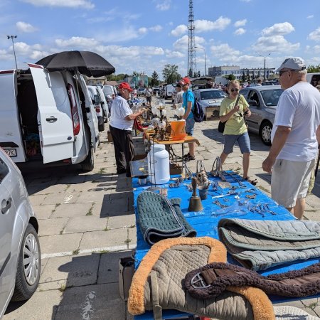 Pchli targ w Ostrołęce znów przyciągnął tłumy! [ZDJĘCIA]