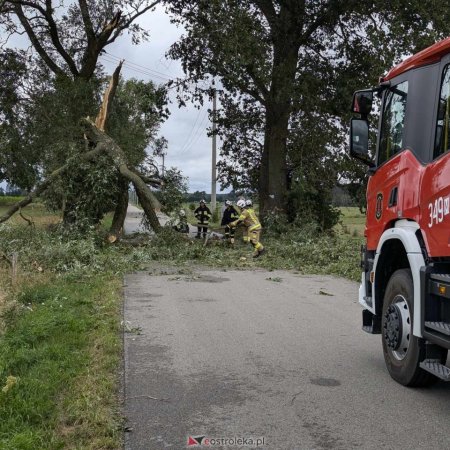 Porywisty wiatr daje się we znaki mieszkańcom całego powiatu [ZDJĘCIA]