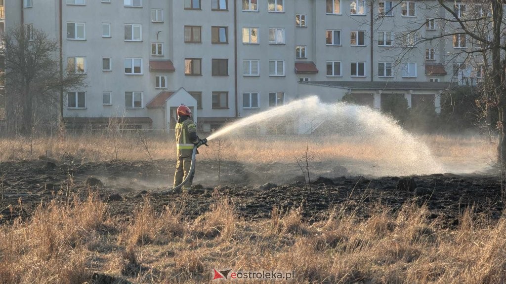 fot. eOstroleka.pl