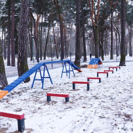 Kłopotliwy wybieg dla psów. Mieszkańcy skarżą się na hałas