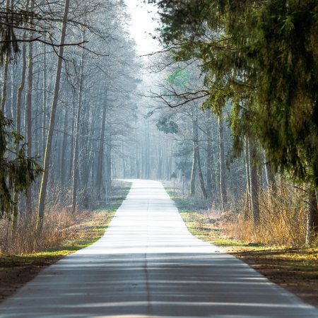 Rządowe miliony na drogi w Ostrołęce i powiecie! Zobacz, na które