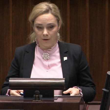 "Jaki pomysł ma polski rząd?" - posłanka Cwalina-Śliwowska pytała o internet [WIDEO]