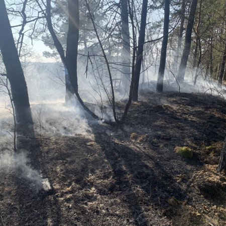 Pożary w gminie Baranowo. Spłonęło niemal pół hektara lasu i 2 hektary łąki [ZDJĘCIA]