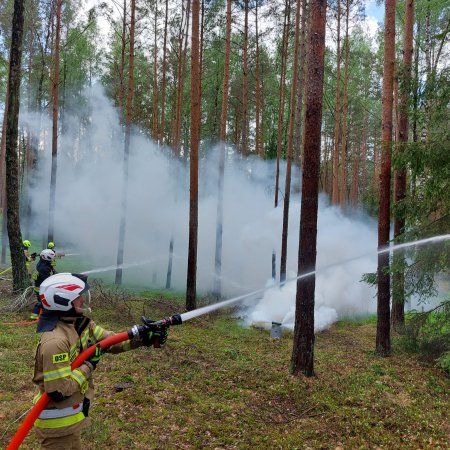 Błyskawiczna interwencja strażaków uratowała lasy w powiecie ostrołęckim!