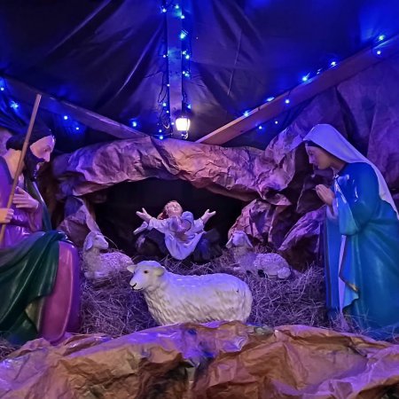 Bożonarodzeniowe szopki w ostrołęckich kościołach [ZDJĘCIA]